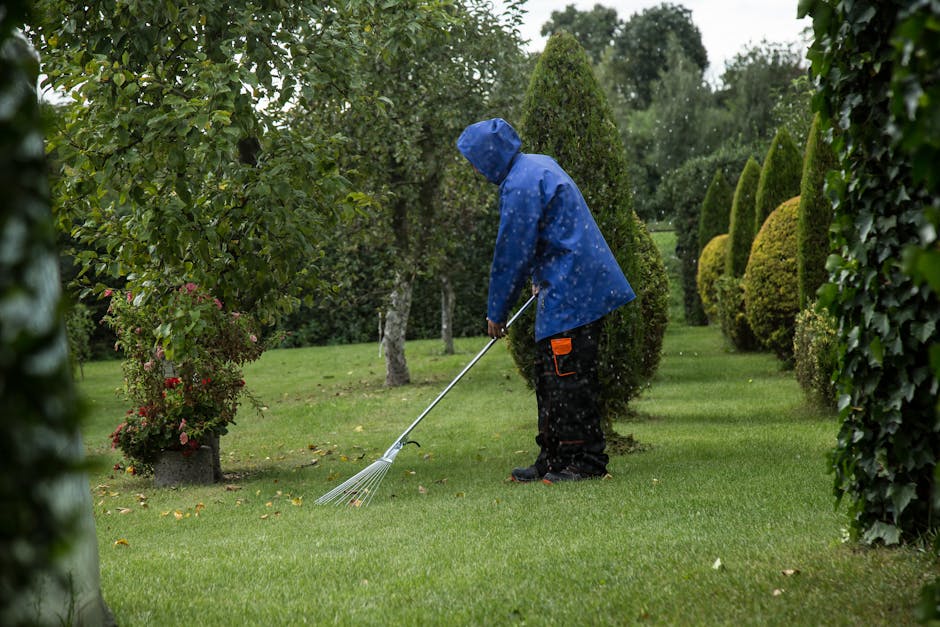 A man wearing glasses, a dark green hoodie, and jeans is using an orange electric lawn mower to trim a well-maintained grassy area of a garden. The garden features a neatly edged lawn, flower beds wit